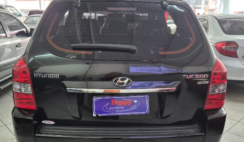 
								Hyundai Tucson GLS 2.0 16V (Flex) (aut) full									