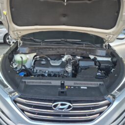 
										Hyundai Tucson GLS 1.6 T-GDI (Aut) full									