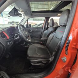 
										Jeep Renegade Trailhawk T270 4×4 AT9 full									