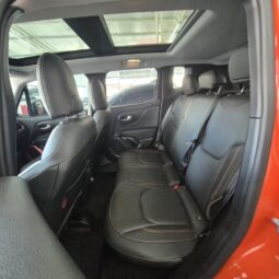 
										Jeep Renegade Trailhawk T270 4×4 AT9 full									