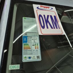 
										Volkswagen Tera MPI full									