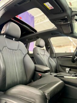 
										Audi Q5 Performance TFSIe full									
