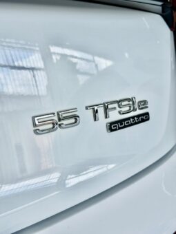 
										Audi Q5 Performance TFSIe full									
